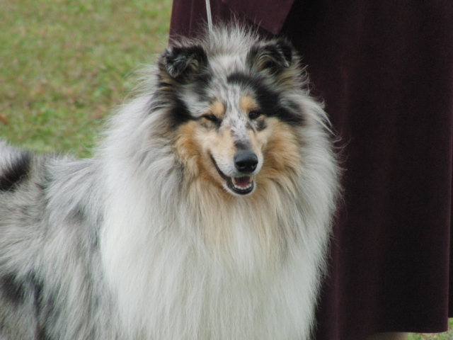 Fionie of Penny Park