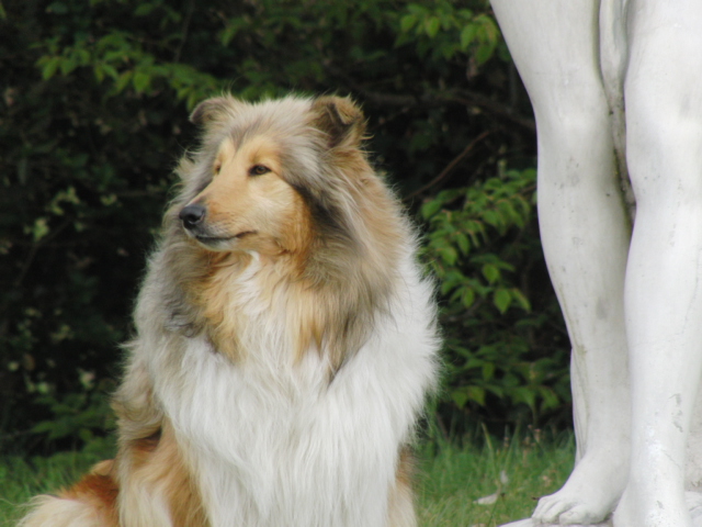 Dune de Remember our Love
